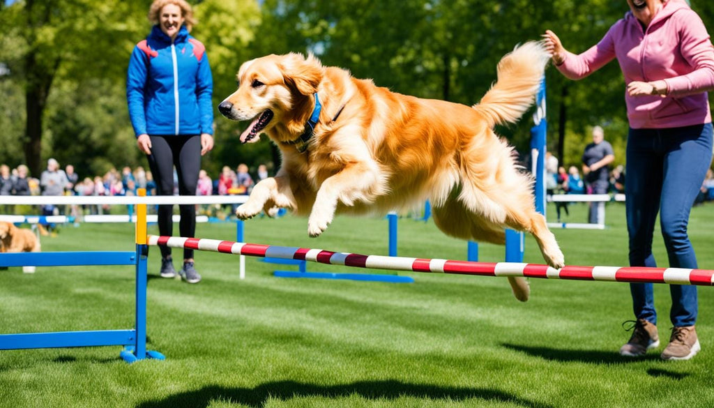 The Ultimate Guide to Puppy Training: Tips and Techniques