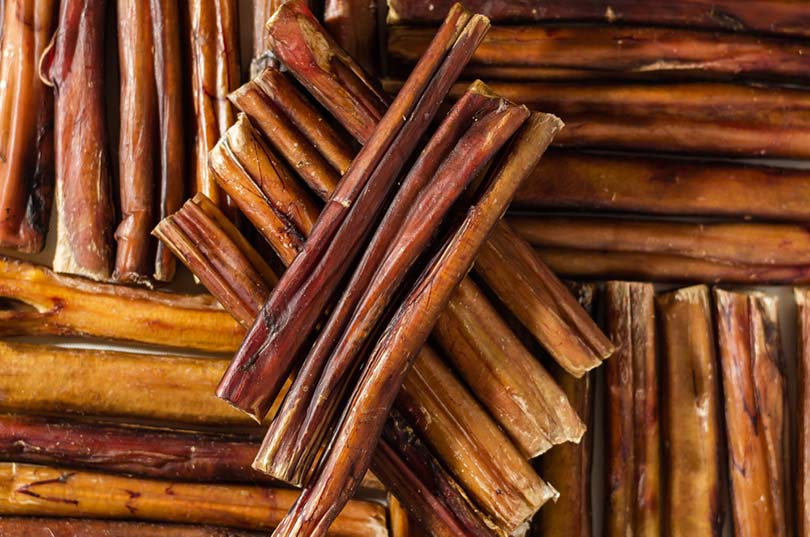 The Ultimate Guide to Dog Foods: Nutrition, Types, and the Role of Bully Sticks