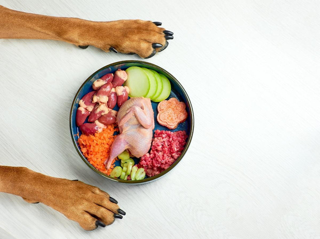 Premium Pet Nutrition