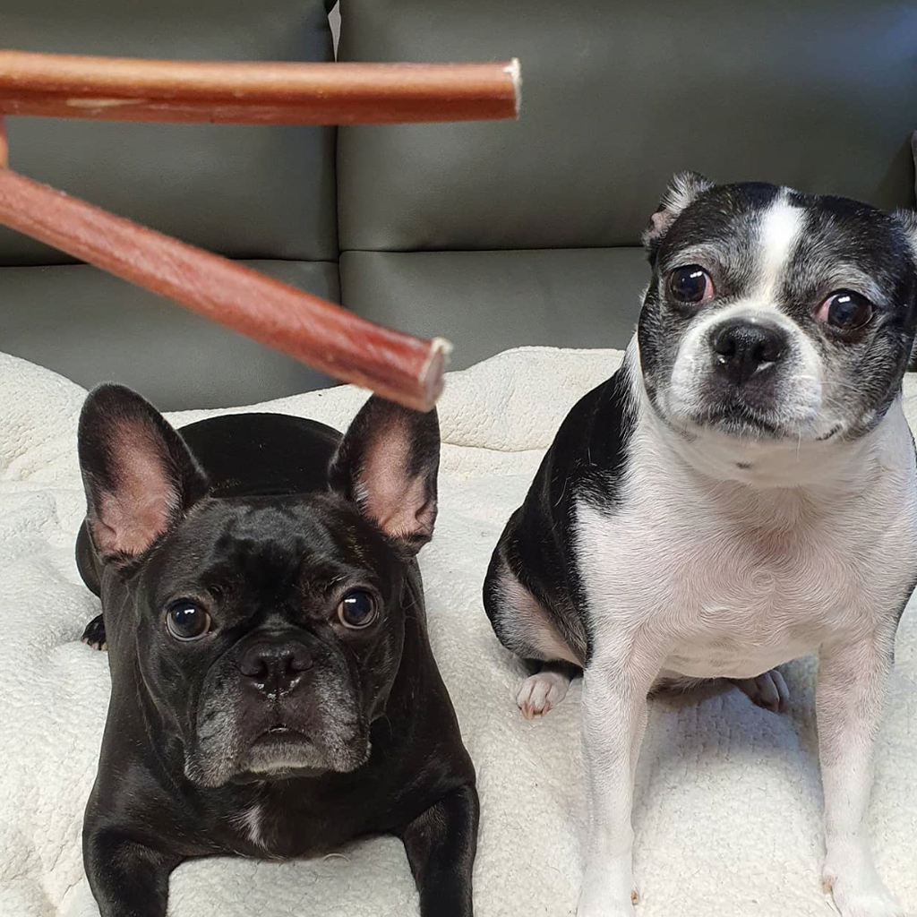 Standard Bully Sticks 6